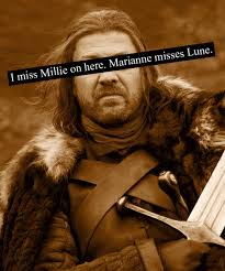 A Place of Seclusion