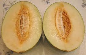 / frequently the eggplant is baked or broiled over an open flame before peeling. Santa Claus Or Christmas Melon An All Creatures American International Vegetarian Vegan Recipe Cruelty Free Gourmet Recipes Lifestyle Food Appetizer Appetizers Beverage Beverages Bread Breads Roll Rolls Cake Cakes Breakfast Lunch