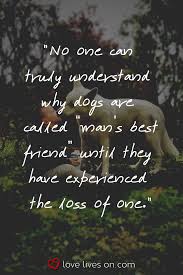 Dog quotes love and loyalty and dog best friend quotes. 45 Losing A Pet Quotes Ideas Losing A Pet Dog Quotes Pet Loss Grief