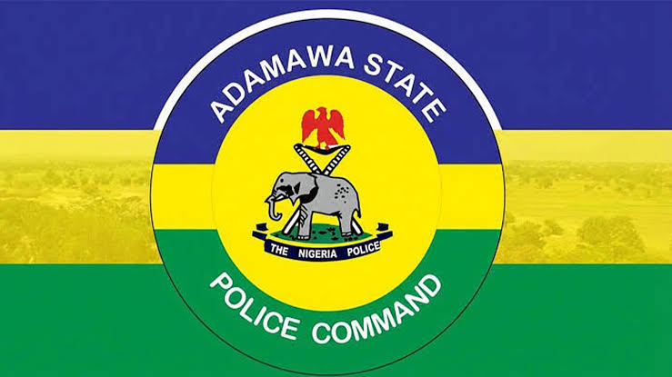 Adamawa Police arrest man for allegedly killing father, dumping body in well