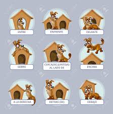 Cartoon Dog Different Poses. Spanish Prepositions Place. Vector  Illustration Preschool Kids. Position Domestic Place Mammal, Breed Or  Pedigree Puppy Royalty Free SVG, Cliparts, Vectors, and Stock Illustration.  Image 47419170.