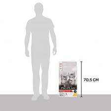 Proplan Yavru Kedi Mamasi 10 Kg Markamama Com Tr