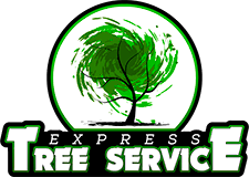 Here are the best tools you should buy. Home Express Tree Service