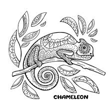 Pascal the chameleon coloring page. Premium Vector Chameleon Coloring Book Illustration Anti Stress Coloring Pages Black And White Lines