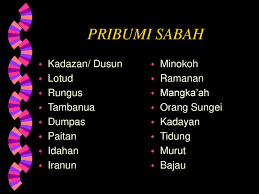Suku kaum murut adalah suku kaum ketiga terbesar di sabah. Pribumi Sabah Kadazan Dusun Lotud Rungus Tambanua Dumpas Paitan Ppt Download