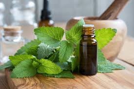 Les moustiques en quelques chiffres : Huiles Essentielles Contre Les Moustiques 6 Huiles A Tester