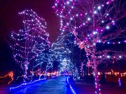 Enchanting Drive Through Christmas Lights In Ohio Ohio Girl Travels