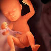 Forschung die augenfarbe von babys: 1