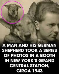 Do these glasses make me look smarter ?