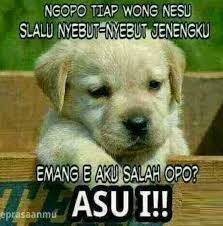 Kumpulan Gambar Lucu Bikin Ngakak Abis Terbaru Lengkap