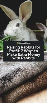 Check spelling or type a new query. Raising Rabbits For Profit 7 Ways To Make Extra Money With Rabbits