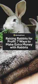 On average, rabbits live about 6 years, but, if they have good living conditions, they can live up to 9 years. Raising Rabbits For Profit 7 Ways To Make Extra Money With Rabbits
