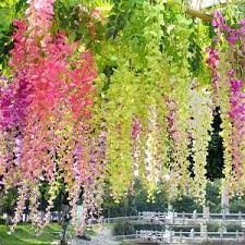 Wisteria Wall Hangs 200cm 78 Long Artificial Leaves Rattan Plants Garland Garland Hanging Plants Vine Fake Garlands Wedding Flowers Hq 005 In 2021 Artificial Silk Flowers Garden Wedding Decorations Hanging Vines