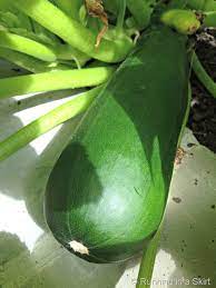 It is loaded with vitamins a and c and it is low in calories. What Should I Do With A Giant Zucchini With Zucchini Bread Recipe Running In A Skirt