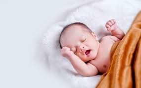 Babynest Nestchen Kaufberatung Das Musst Du Wissen