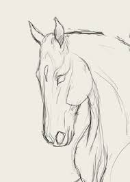 Pin By Whitney Mitchell On Drawing Ideas Horse Drawings Animal Drawings Sketches Horse Sketch