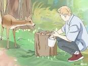 Image result for what to feed deers
