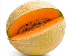 We did not find results for: Melon Alchetron The Free Social Encyclopedia