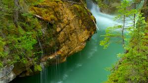 View tripadvisor's 233 unbiased reviews, 148 photos and great deals on 11 vacation rentals, cabins and villas in jasper national park, alberta Jasper National Park Ca Vacation Rentals Cabin Rentals More Vrbo