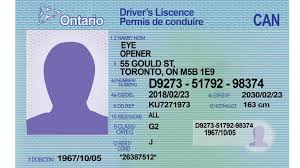 Identity document, a document used to verify a person's identity. The Fake Out Are The Risks And Costs Of Fake Ids Worth It The Eyeopener