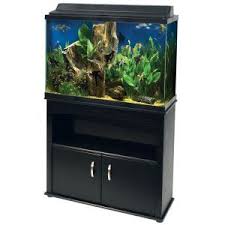 Aqueon 45 Gallon Aquarium Ensemble Aquariums Petsmart Aquarium Aquarium Set Petsmart