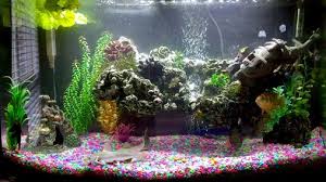 How can i tell if my fish has fungus? Aquarium Fish Medications Do Or Don T Ratemyfishtank Com