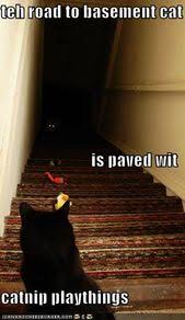 Ceiling cat and basement cat. 170 Basement Cat And Ceiling Cat Ideas In 2021 Basement Cat Cats Funny Cats