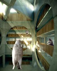 Catitecture Maloriekt Architecture Architizer Animals