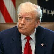 Un champignon qui décime les chauves-souris