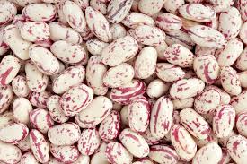 Shelling beans like cranberry and cannellini are in farmers' markets now, cook quickly, and taste great, and you don't even need a recipe. Dry Edible Beans Northern Crops Institute