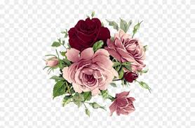 See more ideas about wine, rose, wines. Beautiful Pink And Wine Colored Roses Flowers Vintage Free Transparent Png Clipart Images Download