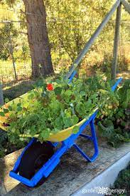 This not only has the container layout for this, but it's got a link for a list of what are some of the best garden pest control tips? Natural Pest Control How To Plant Mixed Herbs And Vegetables To Deter Pests Garden Therapy Vegetable Planters Natural Pest Control Soil