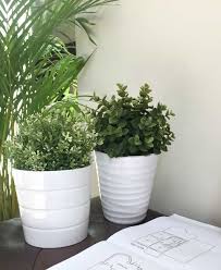 Maybe you would like to learn more about one of these? Why You Should Use Fake Plants In Your Home Tips Tricks