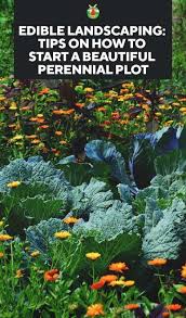 Edible Landscaping How To Start A Beautiful Perennial Plot For Food Supply Edible Landscaping Food Forest Garden Edible Garden
