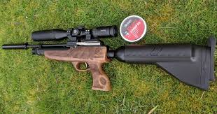 I am good at target practice and good at shooting air rifles but i am not sure what i need for pest control. When 22 Was King Airgun Magazine