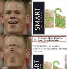 Wax moth trap DIY method shared