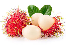 The most notable of the soapberry family, sapindaceae, lychee trees bloom in the late winter to early spring. What Does Rambutan Taste Like Cuisinevault