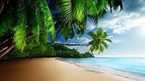 Tropical Beach Paradise 4k Ultra Hd Desktop Wallpaper Fundo Tropical Praia Tropical Por Do Sol Praia