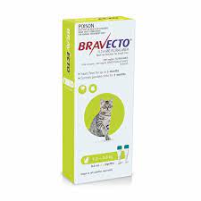Avoid applying an excessive amount of solution that could cause some of the solution to run and drip off of the cat. Bravecto Spot On For Small Cats 1 2 2 8kg Pack Of 2