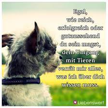 Salamander soll glühen, undene sich winden, sylphe verschwinden ich bin der geist, der stets verneint! Spruche Fur Tierliebhaber Spruche Tierliebe Spruche Tiere Hund Zitat