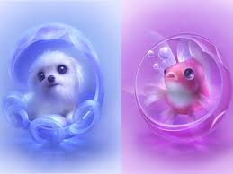 Cute Animal E Cards Free Cute Animals Wallpaper Download The Free Cute Animals Wallpaper Animal Wallpaper Cute Animal Drawings Anime Animals