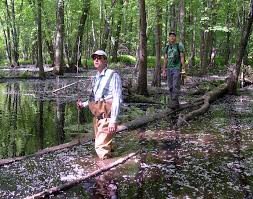 This brochure is designed to provide the public with information and a summary of regulations pertaining to hunting and other recreational use on the half moon wildlife management area. Tribute To Steve Parren A Conservation Champion And Vce Friend Vermont Center For Ecostudies
