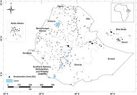 Campus drivers, l'application qu'il a fondée avec ses meilleurs amis, cartonne. Zinc Deficiency Is Highly Prevalent And Spatially Dependent Over Short Distances In Ethiopia Scientific Reports