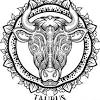 We have now placed twitpic in an archived state. 1