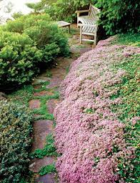 Mother Earth Living Rock Garden Ground Cover Plants Cool Plants