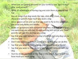 Great way for kids to showcase some responsibility. How To Persuade Parents To Buy A Dog