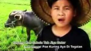 Dec 21, 2019 · lirik lagu budak jalanan. Kustian Anak Jalanan Mp3 Download 320kbps
