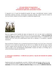 Cel mai ușor este pentru cei care se pricep la folosirea unui calculator. Doc 10 Idei De Afaceri Gabriela Nita Academia Edu