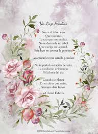 Encontrar La Luz Poemas De Amistad Pensamientos De Amistad Pensamientos Cortos De Amistad Poemas Cortos De Amistad