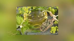 Acest articol are la baz experiena mea de grdinareas amatoare cu practic de 3 ani pe propria tarla. Casa Curte Si Gradina Idei Si Sfaturi Practice Pentru Caminul Tau Youtube